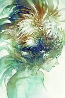 Comb By Anna Dittman Image/poster design © Image Conscious all rights reserved.