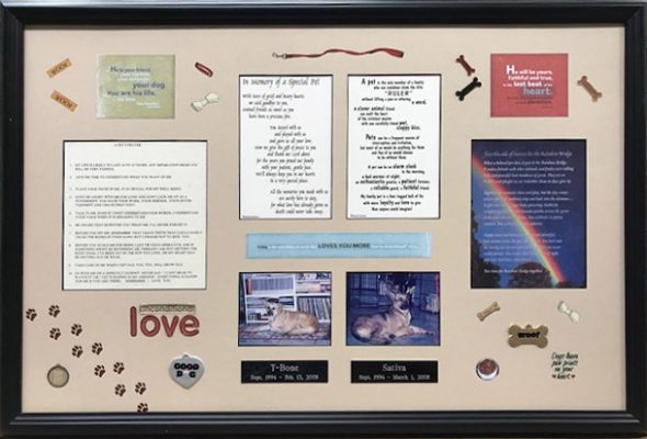 Create a collage of your memories